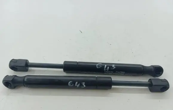 Porsche Cayenne (9PA) Rear window strut damper 