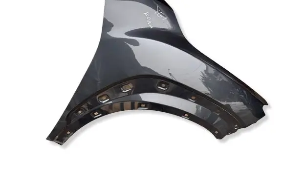 Hyundai Kona I Fender BLOTNIKPPYG77
