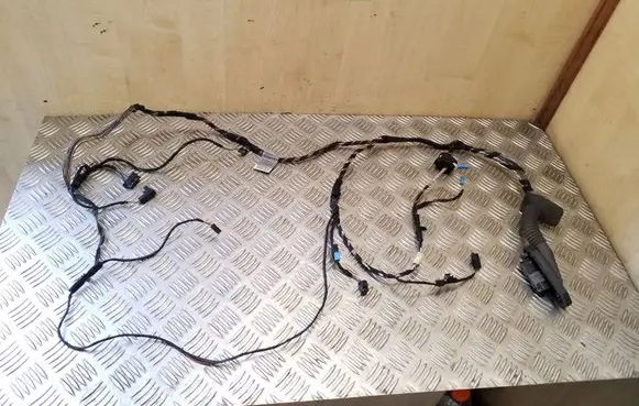 BMW X6 E71 Front door wiring loom 9116976