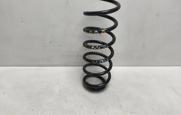 Rear coil spring