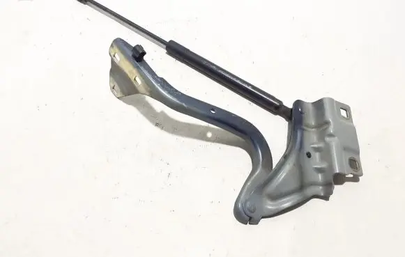 Renault Megane IV Engine bonnet/hood hinges 654002203R