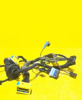 Citroen C4 I Picasso Front door wiring loom/harness boot 9662009180