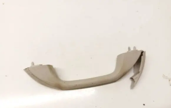 Dacia Sandero Front interior roof grab handle 8200741954