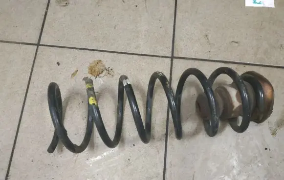 Citroen Berlingo Rear coil spring