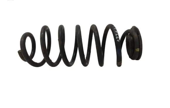 Rear coil spring