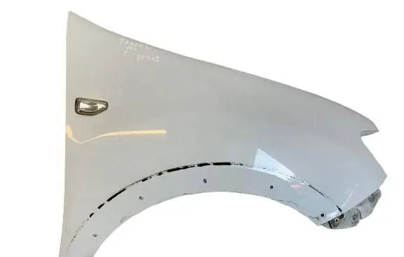 Dacia Sandero II Fender