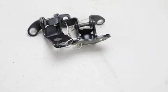 Toyota RAV 4 (XA40) Rear door hinge set 