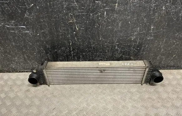 Ford Edge II Intercooler radiator E1G36M775FG