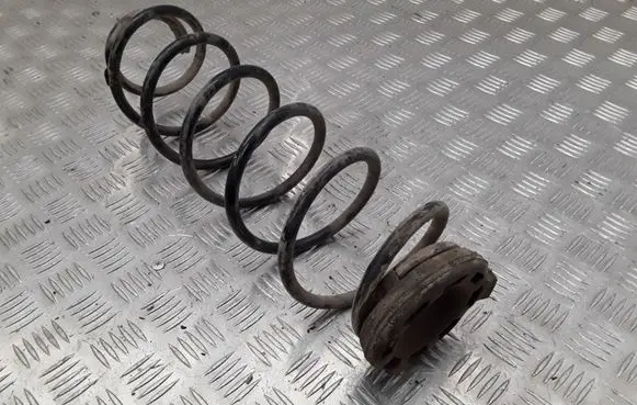 Renault Laguna II Rear coil spring