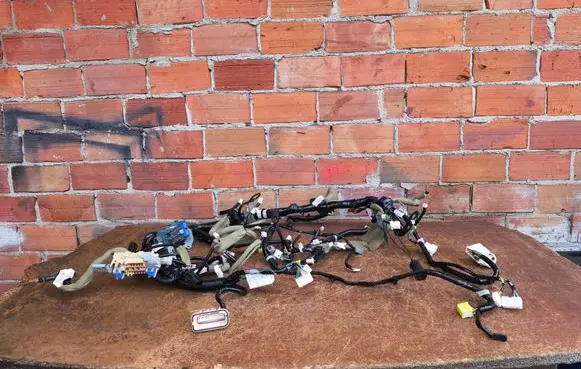 Nissan Juke I F15 Other wiring loom 24010BV85B