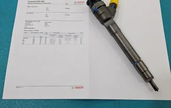 Renault Scenic III - Grand scenic III Fuel injector 0445110546 IMPRK1397293