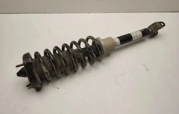 Mercedes-Benz CLS C219 Front shock absorber/damper A2193201913