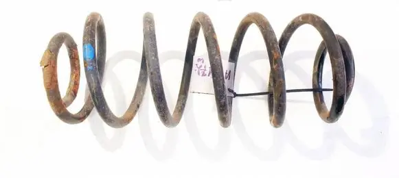 Rear coil spring