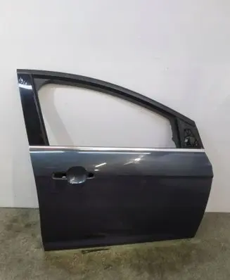 Ford Focus Front door 
