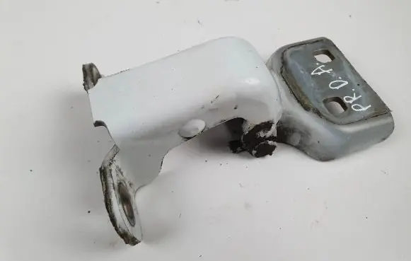 Renault Trafic II (X83) Front door lower hinge 311772J