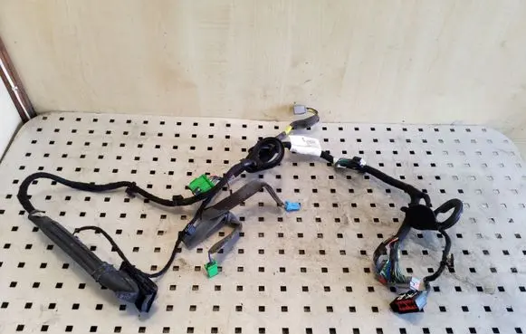 Front door wiring loom