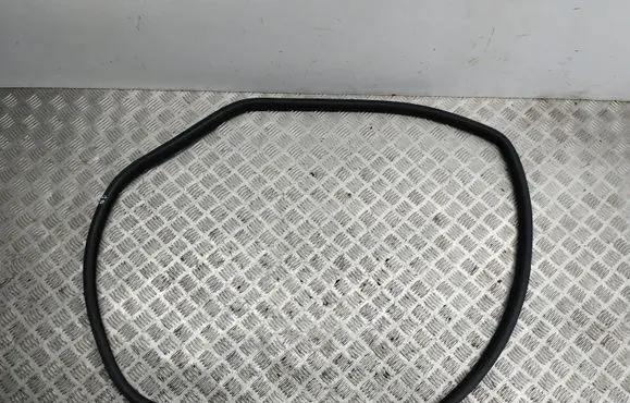 Maserati Quattroporte Rubber seal rear door 