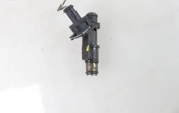 Peugeot 407 Fuel injector 01F004A