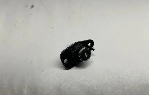 Dodge Challenger Tailgate/boot open switch button 68141864AA