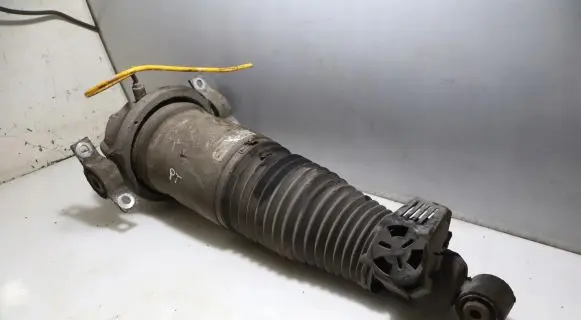 Porsche Cayenne (9PA) Rear shock absorber/damper