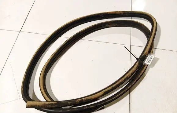 Ford Focus C-MAX Rubber seal front coupe door 