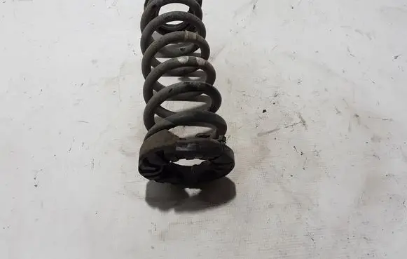 Rear coil spring