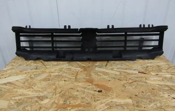 BMW 3 G20 G21 Radiator trim 5174-110738-10