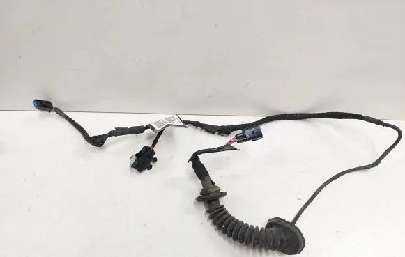 Rear door wiring loom