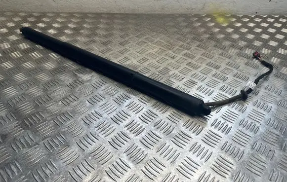 Tailgate/trunk strut/damper