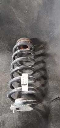 Rear coil spring