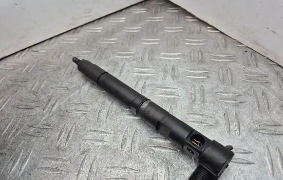 Opel Antara Fuel injector 25195089 28489548