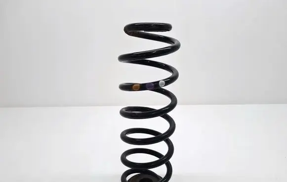 Rear coil spring