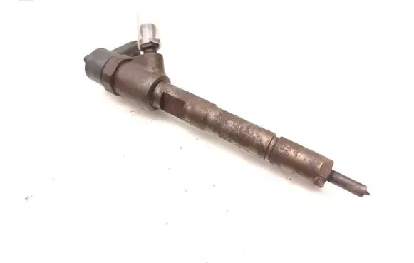 Peugeot Bipper Fuel injector 0445110351
