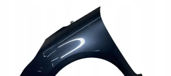 KIA Carens III Fender