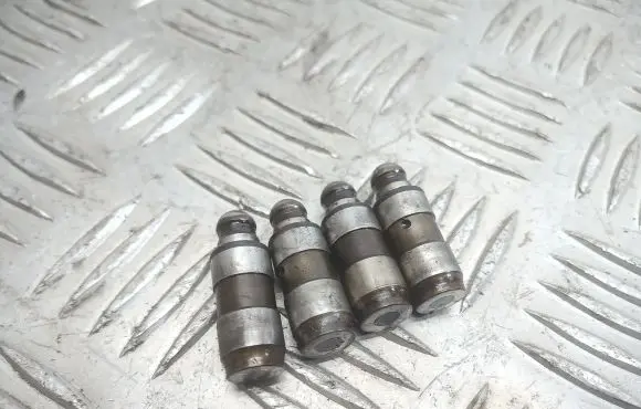 Audi A4 S4 B7 8E 8H Tappets lifter 
