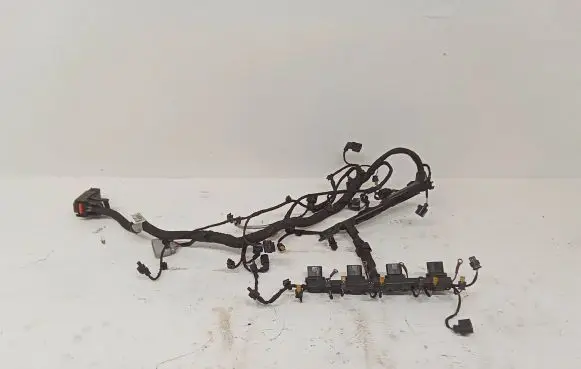 Audi TT TTS RS Mk3 8S Engine installation wiring loom 06L971824G 06L133519B 06K972627CG