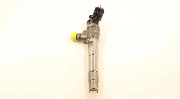 Renault Kangoo II Fuel injector 0445110800