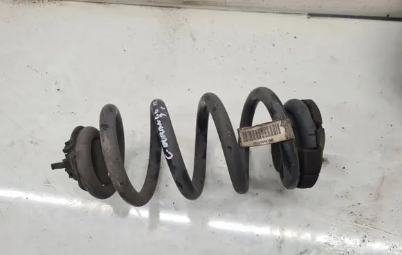 Rear coil spring
