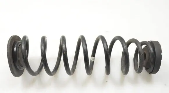Rear coil spring