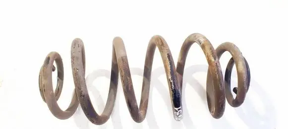 Rear coil spring