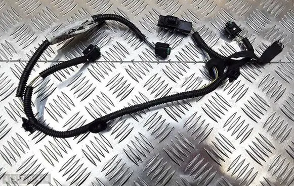 Citroen C6 Other wiring loom 9660382980