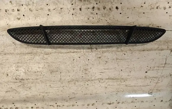 BMW 1 E81 E87 Front bumper lower grill 7118161 D111 22944911