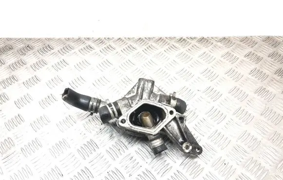 Thermostat/thermostat housing