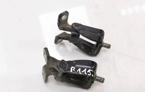 Tailgate/trunk/boot hinge