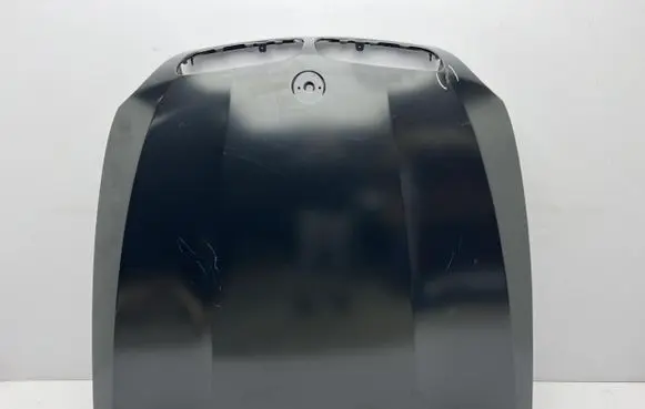 Engine bonnet/hood