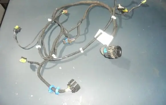Rear door wiring loom