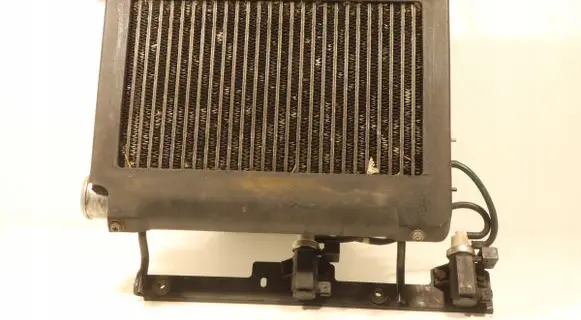 Hyundai Santa Fe Intercooler radiator 