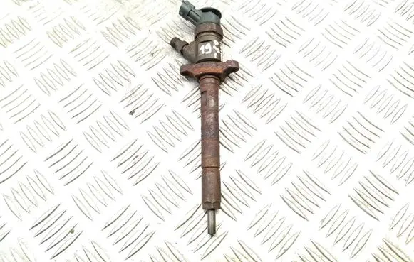 Citroen C3 Fuel injector 0445110311