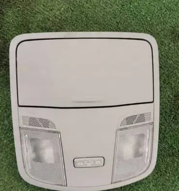 Hyundai i30 Headlining lighting console trim 92800-G30XX
