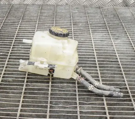 Lexus RX 450H Brake fluid reservoir 
